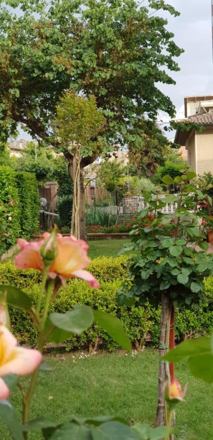 La Casa Di Gigliola Villa Monticiano Eksteriør billede