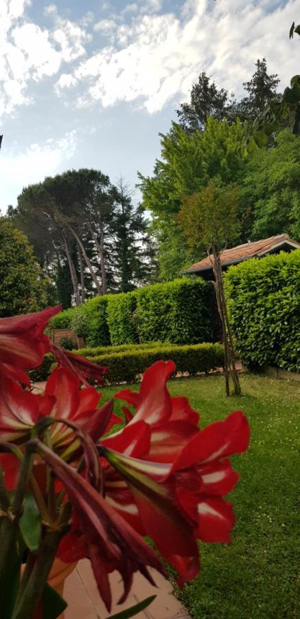La Casa Di Gigliola Villa Monticiano Eksteriør billede