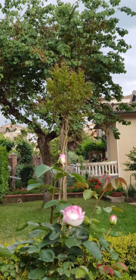 La Casa Di Gigliola Villa Monticiano Eksteriør billede