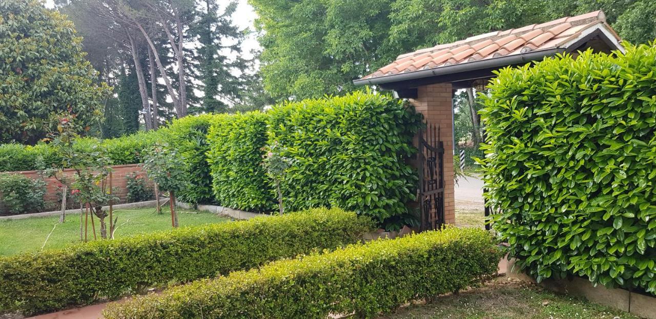 La Casa Di Gigliola Villa Monticiano Eksteriør billede